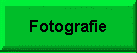 Photo Gallery | Galleria de Fotos